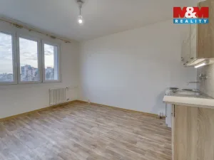 Pronájem bytu 1+kk, Plzeň - Doudlevce, Šimerova, 20 m2
