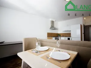 Pronájem bytu 1+kk, Brno, Dobrovského, 40 m2