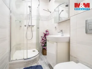 Prodej bytu 1+1, Zliv, Nová, 43 m2