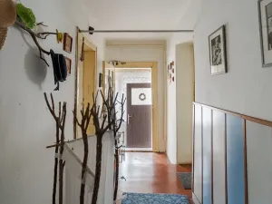 Prodej zemědělské usedlosti, Nová Sídla, 327 m2