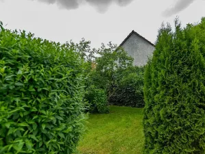 Prodej zemědělské usedlosti, Nová Sídla, 327 m2