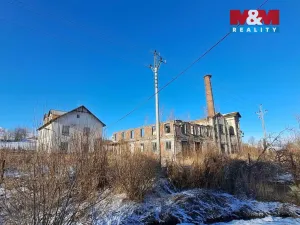 Prodej výrobních prostor, Ryžoviště, Tovární, 500 m2