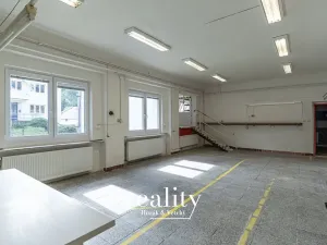 Pronájem výrobních prostor, Šebrov-Kateřina, 243 m2