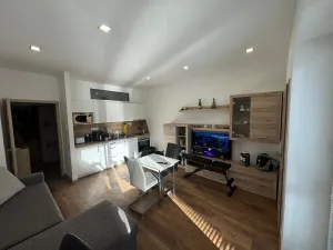 Pronájem bytu 1+kk, Brno, Dřevařská, 30 m2