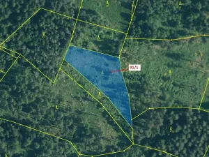 Dražba lesa, Pačejov, 3251 m2