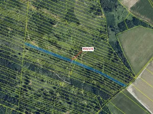 Dražba lesa, Nová Hradečná, 6275 m2