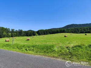Prodej louky, Třebušín, 74552 m2