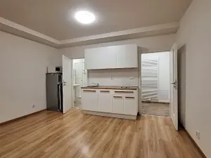 Pronájem bytu 1+kk, Praha - Bubeneč, U zeměpisného ústavu, 26 m2