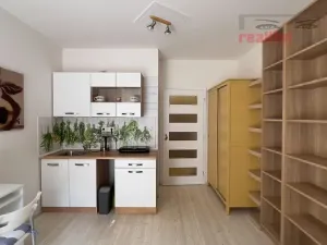 Pronájem bytu 1+kk, Brno, Rakovecká, 22 m2