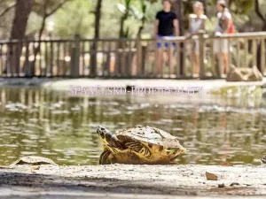 Prodej bytu 2+kk, Guardamar del Segura, Španělsko, 50 m2