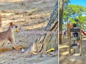 Prodej bytu 2+kk, Guardamar del Segura, Španělsko, 50 m2