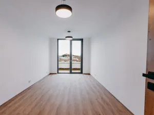 Pronájem bytu 1+kk, Brno, Čechyňská, 28 m2