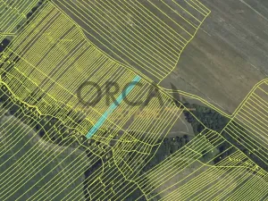 Prodej pole, Mistřice, 3576 m2