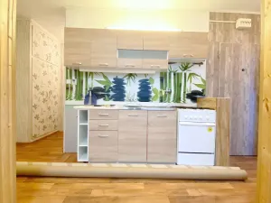 Pronájem bytu 2+1, Meziboří, J. A. Komenského, 44 m2