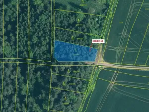 Dražba lesa, Hosty, 978 m2