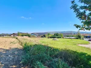 Prodej pozemku pro bydlení, Hrušovany u Brna, Pod Střediskem, 875 m2