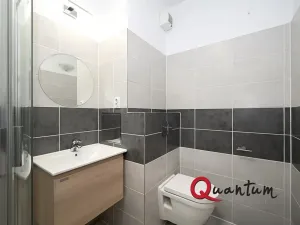 Pronájem bytu 2+kk, Praha, Remízková, 53 m2