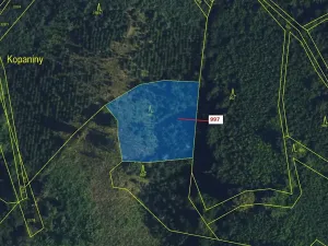 Dražba lesa, Lhota Rapotina, 1938 m2