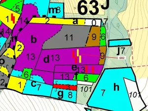 Dražba lesa, Kuřimany, 11584 m2