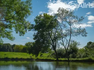 Prodej pozemku pro bydlení, Bulhary, 604 m2