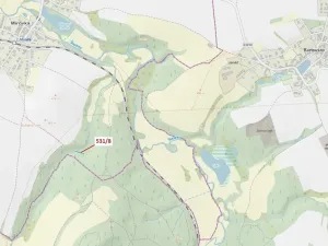 Dražba lesa, Havlíčkův Brod, 212 m2