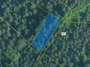 Dražba lesa, Kuřimany, 713 m2