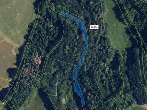 Dražba lesa, Bouzov, 1158 m2