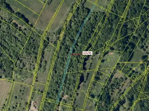 Dražba louky, Jankovice, 655 m2