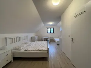 Prodej vinného sklepa, Čejkovice, 66 m2
