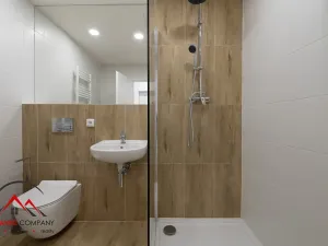 Pronájem bytu 1+kk, Ostrava, Cihelní, 17 m2