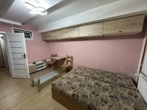Pronájem bytu 1+kk, Hranice - Hranice I-Město, Hromůvka, 25 m2