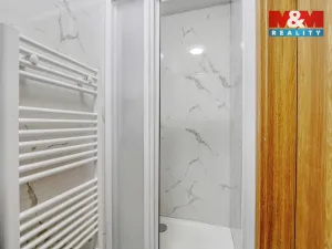 Pronájem bytu 2+kk, Plzeň - Jižní Předměstí, Husova, 45 m2