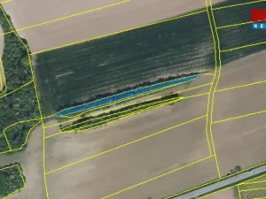 Prodej lesa, Kočí, 5803 m2