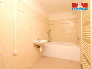 Pronájem bytu 1+1, Dolany, 37 m2