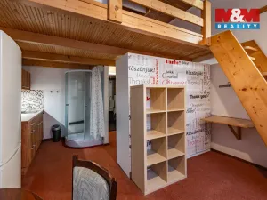 Pronájem bytu 1+kk, Mariánské Lázně, Hlavní třída, 20 m2