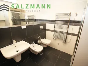 Prodej bytu 2+kk, Plzeň, Divadelní, 57 m2