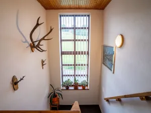 Prodej ubytování, Strážné, 450 m2