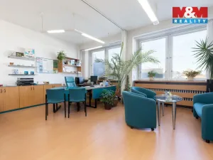 Prodej obchodního prostoru, Bruntál, nám. Míru, 720 m2