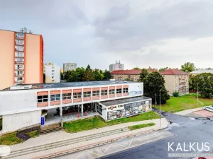Prodej bytu 3+1, Kladno - Kročehlavy, Vrchlického, 78 m2