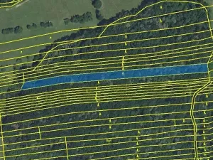 Prodej lesa, Hradčovice, 4947 m2