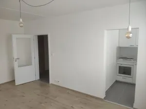 Pronájem bytu 1+1, Praha - Chodov, Ledvinova, 30 m2