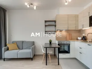 Pronájem bytu 1+kk, Praha - Žižkov, Olgy Havlové, 38 m2