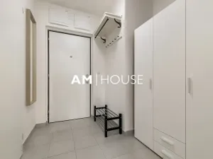 Pronájem bytu 1+kk, Praha - Žižkov, Olgy Havlové, 38 m2