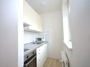 Pronájem bytu 1+kk, Frýdek-Místek, Bruzovská, 30 m2