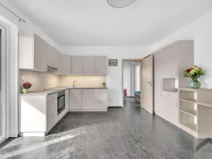 Prodej bytu 3+kk, Žamberk, U Dlouhoňovic, 86 m2