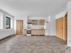 Prodej komerční nemovitosti, Litomyšl, Havlíčkova, 295 m2