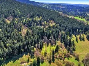 Prodej pozemku pro bydlení, Vítkovice, 21708 m2