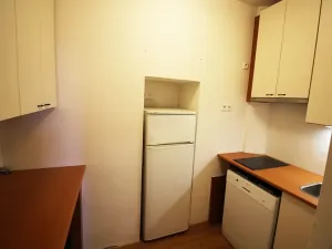 Pronájem bytu 1+kk, Teplice, Alejní, 31 m2