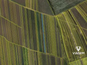 Prodej podílu pole, Moravský Žižkov, 554 m2