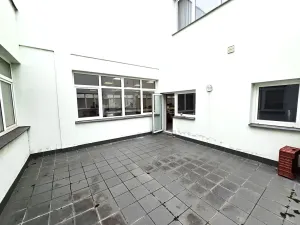 Pronájem výrobních prostor, Brno, Franzova, 785 m2